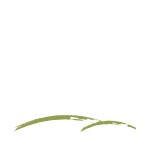 Podere La Fortuna